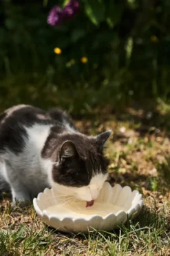 Dagny djupt fat Ø20 cm, Vit