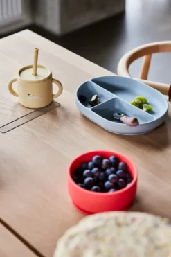 Enkei suction barntallrik, Dusty Blue