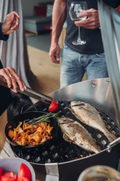 Höfats grilltång, Silver