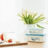 Mumin horisont lunchlåda, L, 1,5 L