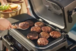 Ninja Woodfire elektrisk grill OG850EU smart cook system, Svart
