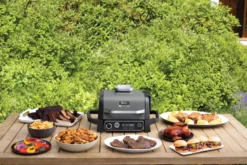 Ninja Woodfire OG701 7-i-1 elgrill 46x46 cm, Svart