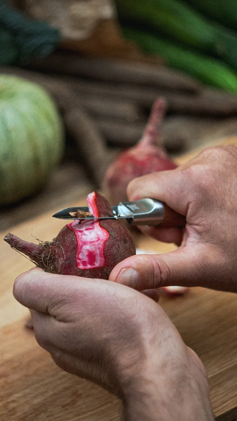Norden potatisskalare, Rostfritt stål-björk
