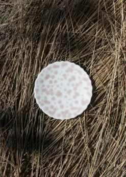Slåpeblom tallrik Ø13 cm, Rosa