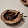 Teak skopa, Brun